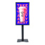 Totem video 55'' 700cd Android, free-standing